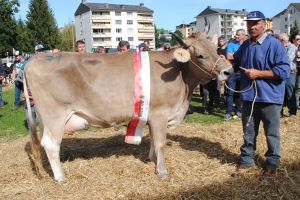 Miss OB Kssnacht_Harlei Humana_Marty Alois Goldau